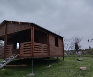 IMG-81482a0afbd5381b110909f3654d95eb-V